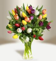 Bouquet of tulips (mixed) - Flowers delivery in Prague